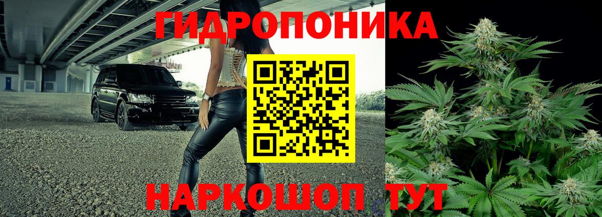 Конопля план  МАРИХУАНА гибрид  МАРИХУАНА Bruce Banner  Семилуки  Вход с VPN 